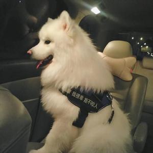 40岁女人高潮大叫
