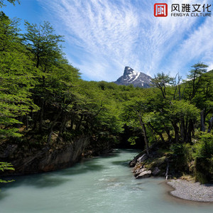 40岁女人高潮大叫
